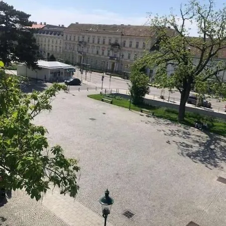 Paraderma Im Zentrum Bei Wien Apartament
